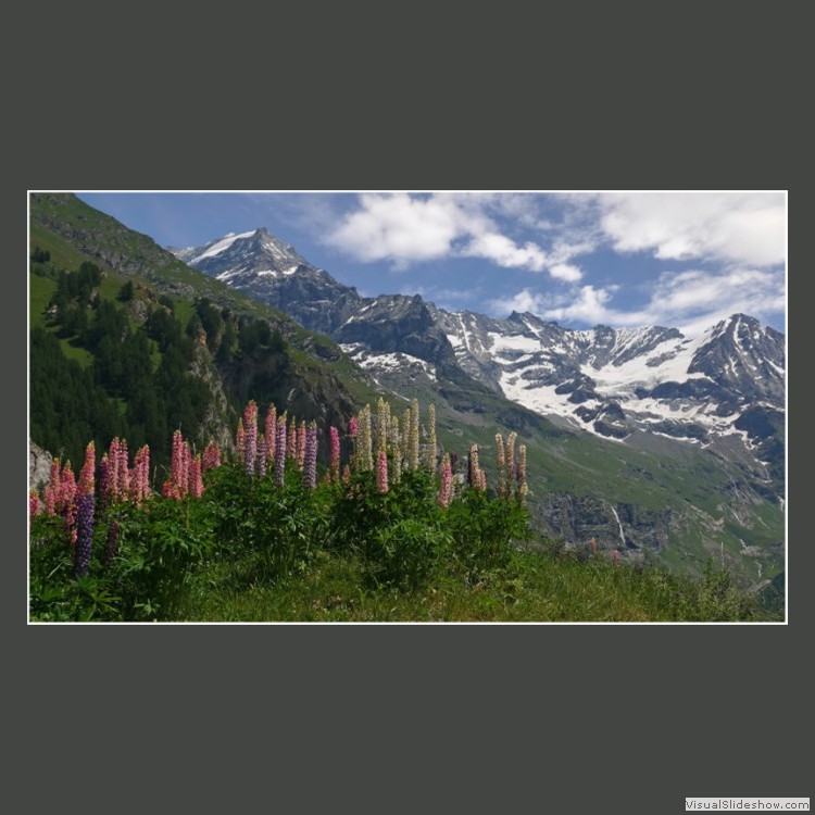 Advanced Section Second Place - Les Alpes au Printemps by Robert Tyson