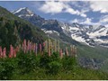 Advanced Section Second Place - Les Alpes au Printemps by Robert Tyson