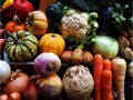 Intermediate Section Highly Commended - The Harvest's In by Joan Arnold