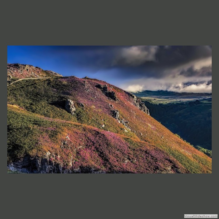 Advanced Section Highly Commended - Evening Light, Pensychnant by Ilija Vukomanovic