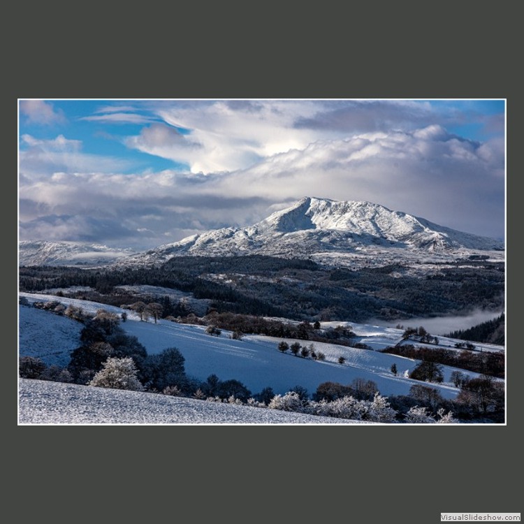 Advanced Section Highly Commended - Majestic Mael Siabod by Alwyn Williams