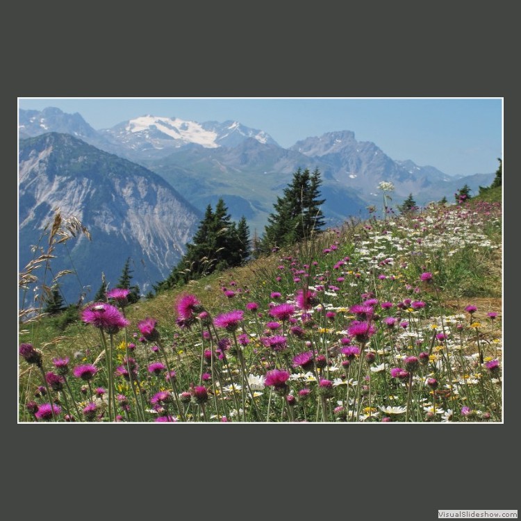 Advanced Section Highly Commended - Springtime in the Alps by Bob Tyson