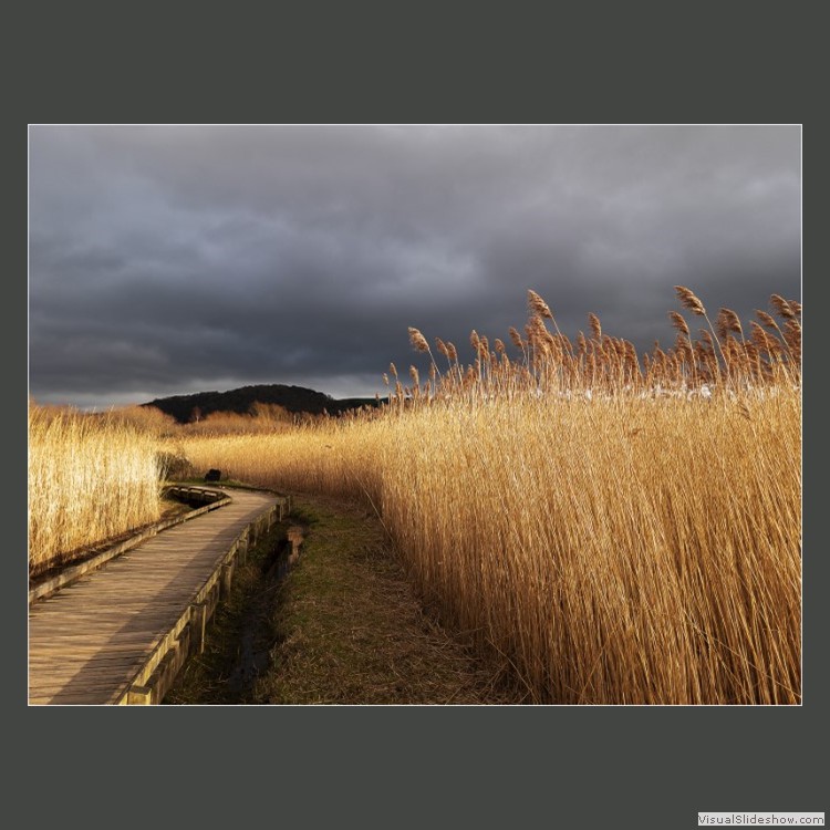 Intermediate Section Commended - Storm Clouds Gathering by Joan Arnold