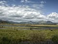 Advanced Section Commended - Snowdonia from Porthmadog by Ian Paisley