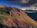 Advanced Section Highly Commended - Evening Light, Pensychnant by Ilija Vukomanovic