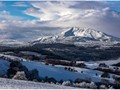 Advanced Section Highly Commended - Majestic Mael Siabod by Alwyn Williams