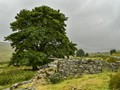 Intermediate Section Highly Commended - Above Blaenau by Ian Dickson