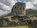 Intermediate Section Highly Commended - Dolbadarn by Ian Dickson