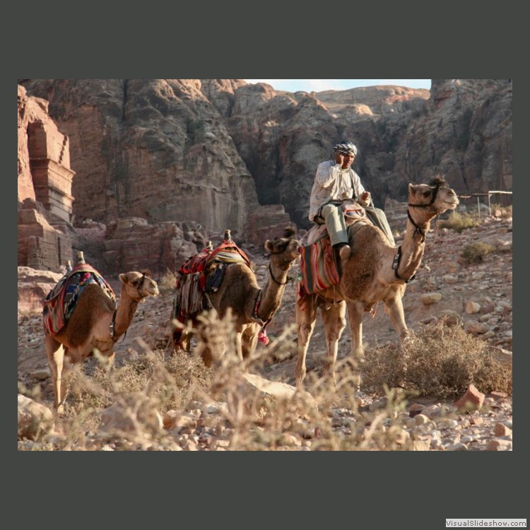 Intermediate Section Commended - I'm on the Camel Train by Mike Smith