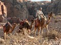 Intermediate Section Commended - I'm on the Camel Train by Mike Smith
