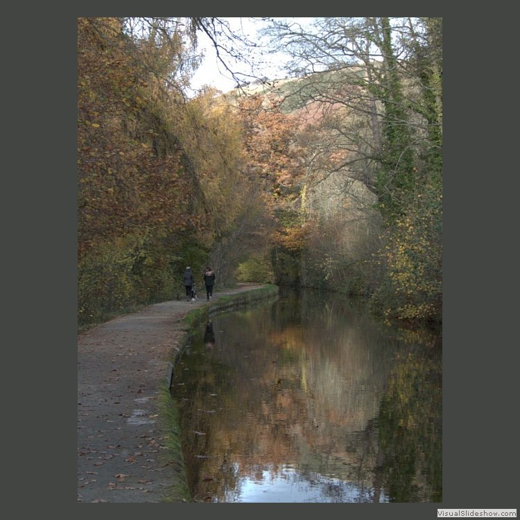Intermediate Section Commended - Canal by Steve Gardner
