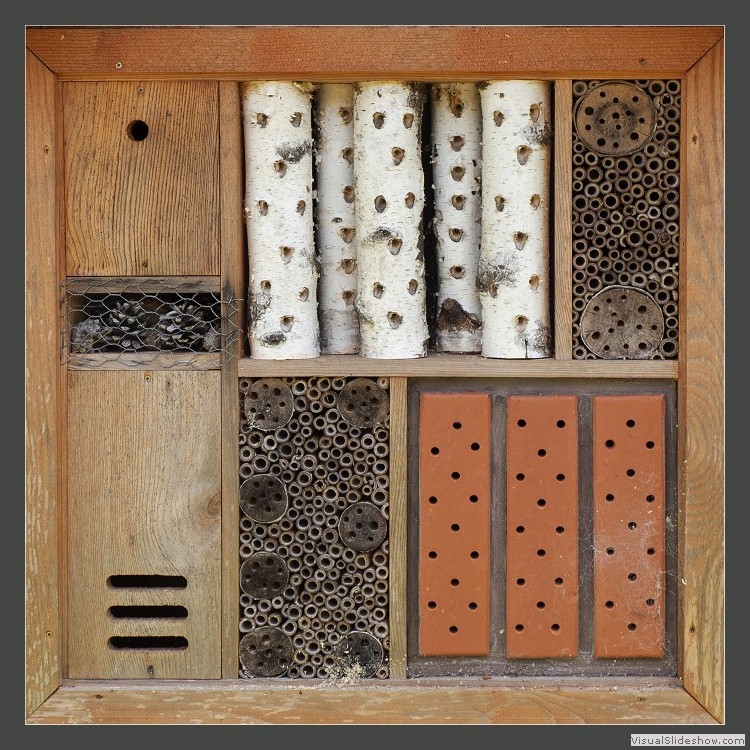Intermediate Section First Place - First Class Accommodation by Joan Arnold