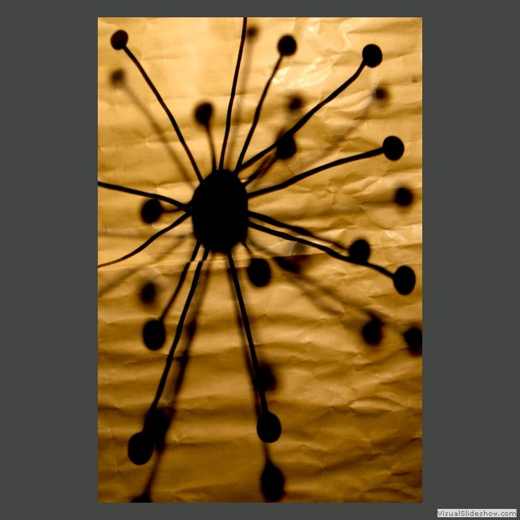 Intermediate Section Highly Commended - Projection by Rebecca Lowe