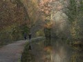 Intermediate Section Commended - Canal by Steve Gardner