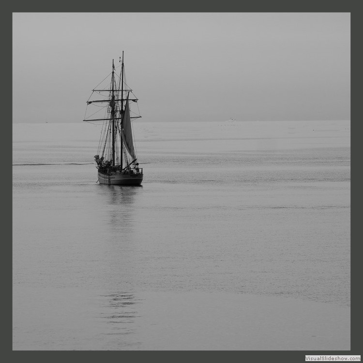 Advanced Section Commended - Nearly Home by Jean Chadwick (Custom)