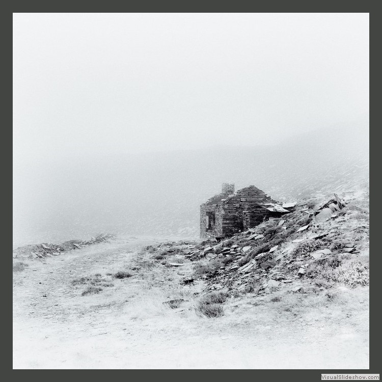 Advanced Section First Place - Desolation by Viv Healy