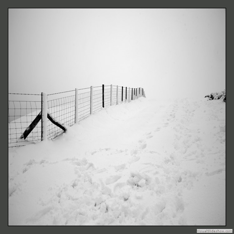 Advanced Section Highly Commended - Winter Whiteout by Mike Castle