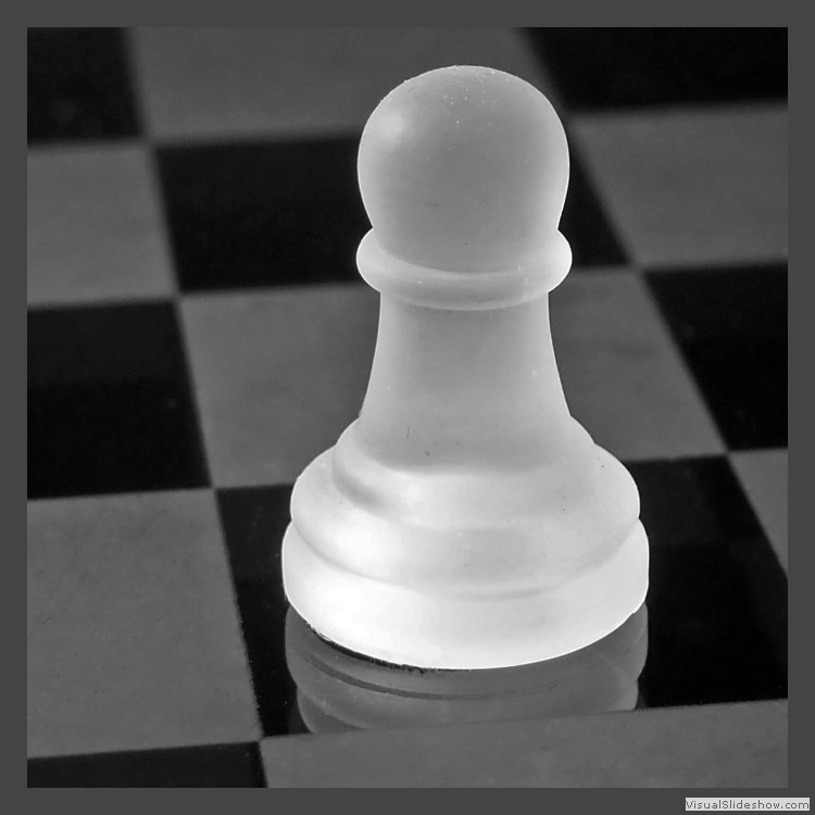 Intermediate Section Commended - Pawn Star by Helen Walker