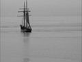 Advanced Section Commended - Nearly Home by Jean Chadwick (Custom)