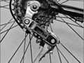 Advanced Section Commended - Shimano by Peter Carlyon