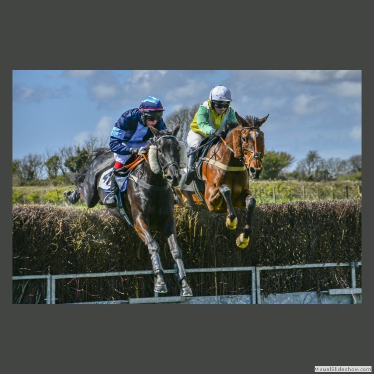 Intermediate Section First Place - The Final Fence by Ian Dickson