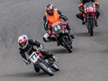Advanced  Section Commended - Trio On The Track by Viv Healy