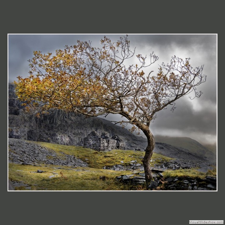 Advanced Section Highly Commended - Dinorwig Autumn by Andy Pyatt