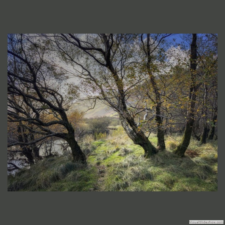 Advanced Section Highly Commended - Walking into the Valley by Viv Healy