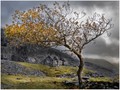 Advanced Section Highly Commended - Dinorwig Autumn by Andy Pyatt