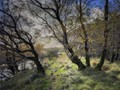 Advanced Section Highly Commended - Walking into the Valley by Viv Healy