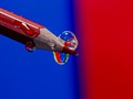 Advanced Section Third Place - Bubbles on a Pencil by Alwyn Williams