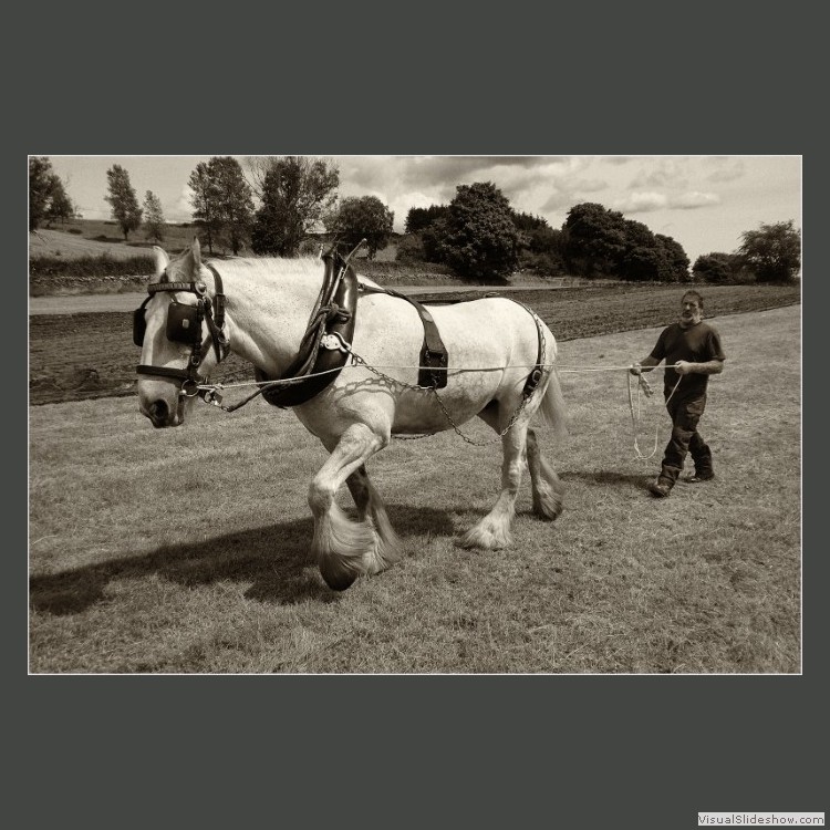 Advanced Section Commended - Return to Plough by Mike Castle