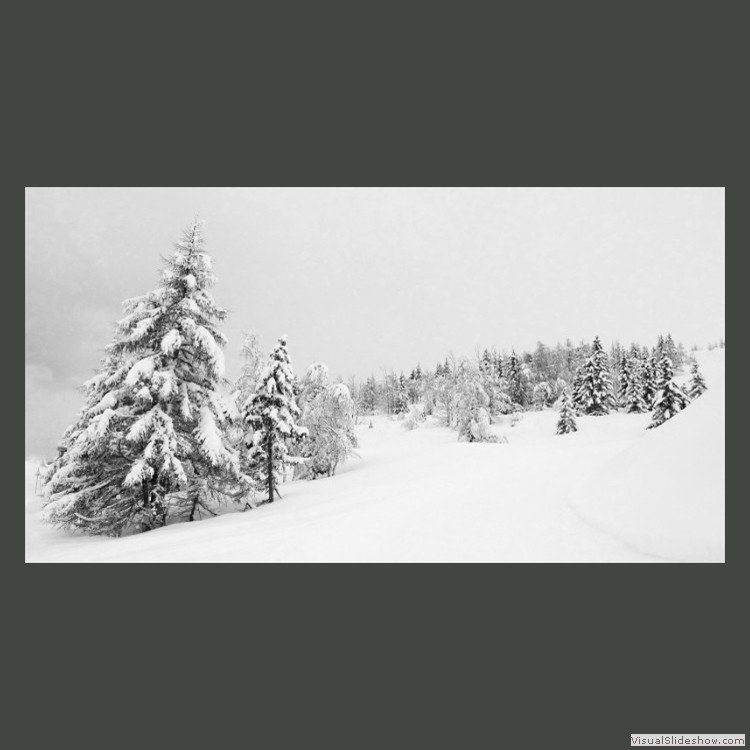 Advanced Section Highly Commended - Alpine Whiteout by Bob Tyson 