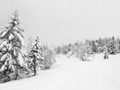 Advanced Section Highly Commended - Alpine Whiteout by Bob Tyson 
