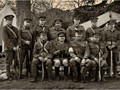 Advanced Section Highly Commended - Brothers in Arms by Mike Castle