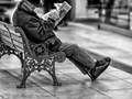 Advanced Section Highly Commended - In from the Cold by Phil Rogers