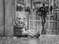 Advanced Section Highly Commended - Out to Lunch by Viv Healy