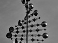 Intermediate Section Highly Commended - Sparkling in the Sun by Helen Walker