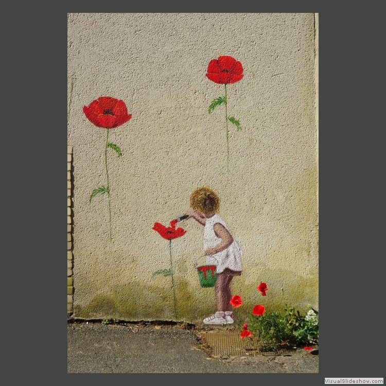 Advanced Section Highly Commended - Poppy Love by Jane Tyson