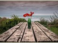 Advanced Section First Place - The Last Green Bottle by Phil Chadwick