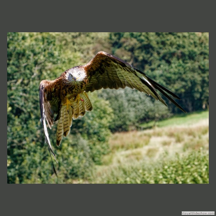 Intermediate Section Highly Commended - Right At You by Mike Smith