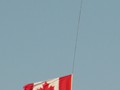 Intermediate Section Second Place - Flying the Flag by Roy Boswell
