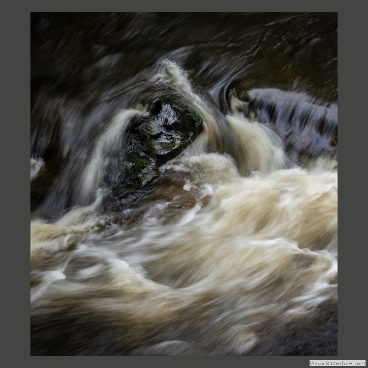 Advanced Section Commended - River Demon by Phil Chadwick