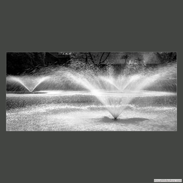 Advanced Section Commended - Sprinkler Sparkler by Alwyn Williams