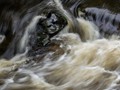 Advanced Section Commended - River Demon by Phil Chadwick