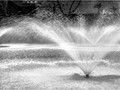 Advanced Section Commended - Sprinkler Sparkler by Alwyn Williams