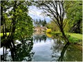 Advanced Section Highly Commended - Blockley Mill Pond by Jeff Smith
