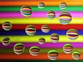 Advanced Section Highly Commended - Water Drop Refraction by Alan Gaines