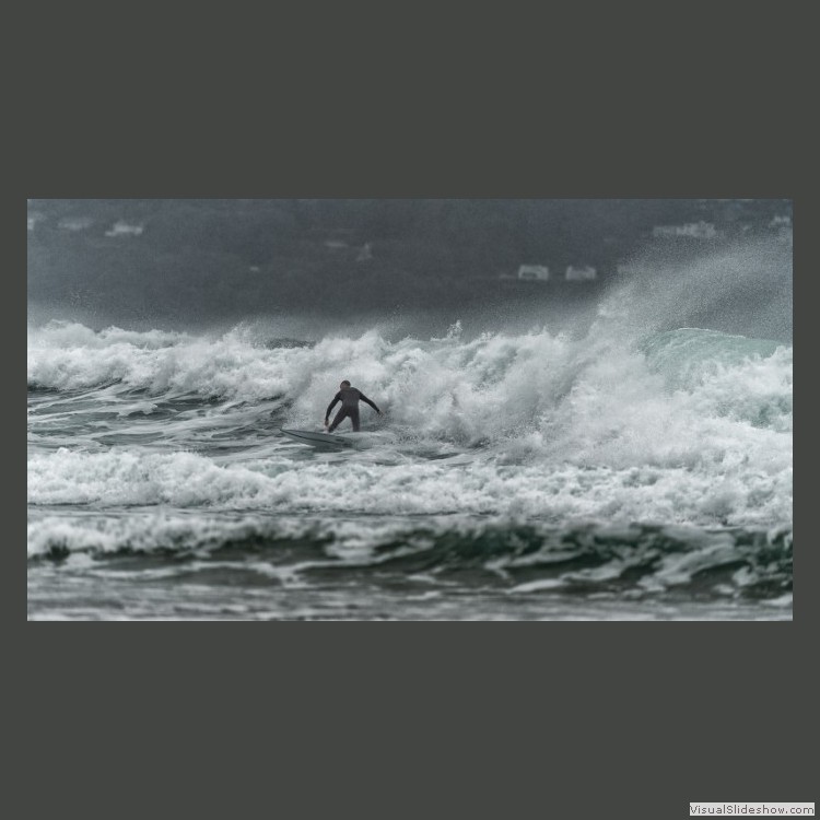 Advanced Section Commended - Hear the Roar Catch the Wave by Brian Tehan