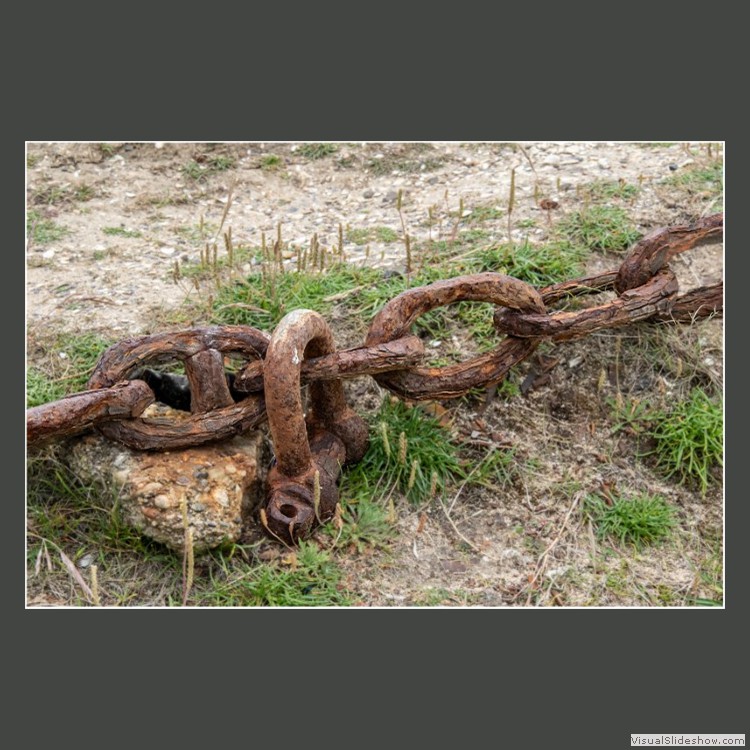 Advanced Section Commended - Rusty by Jeffrey Smith